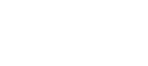 Catapult Digital